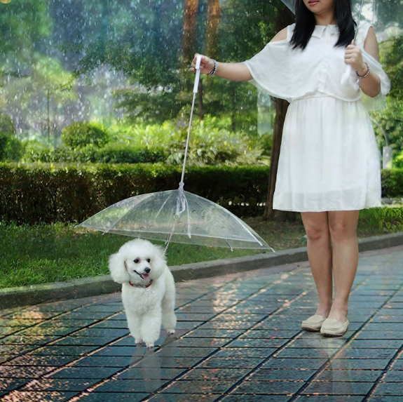 Dog leash umbrella best sale